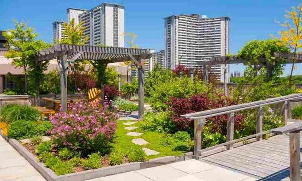 Outdoor Amenities Expanding Leisure Options within Modern Condo Communities